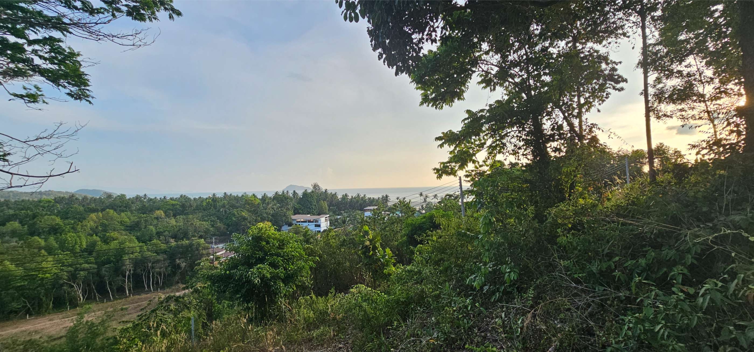 1600 SQM LAND HING KONG TOP HILL IS FOR SALE 6.5MB
