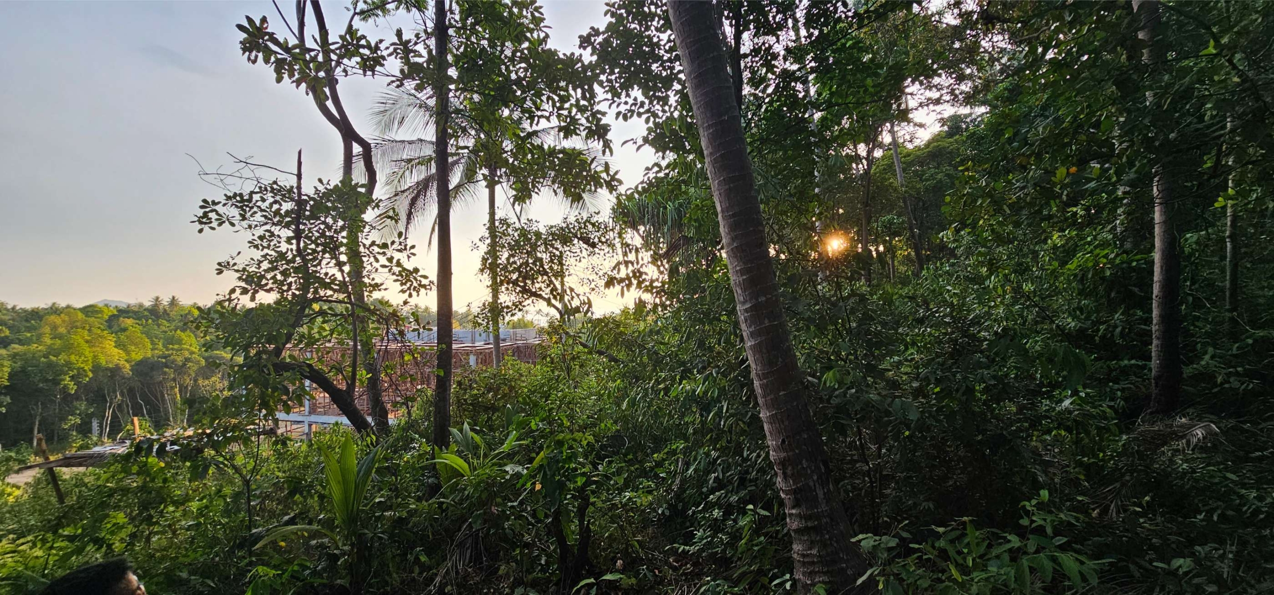 1600 SQM LAND HING KONG TOP HILL IS FOR SALE 6.5MB