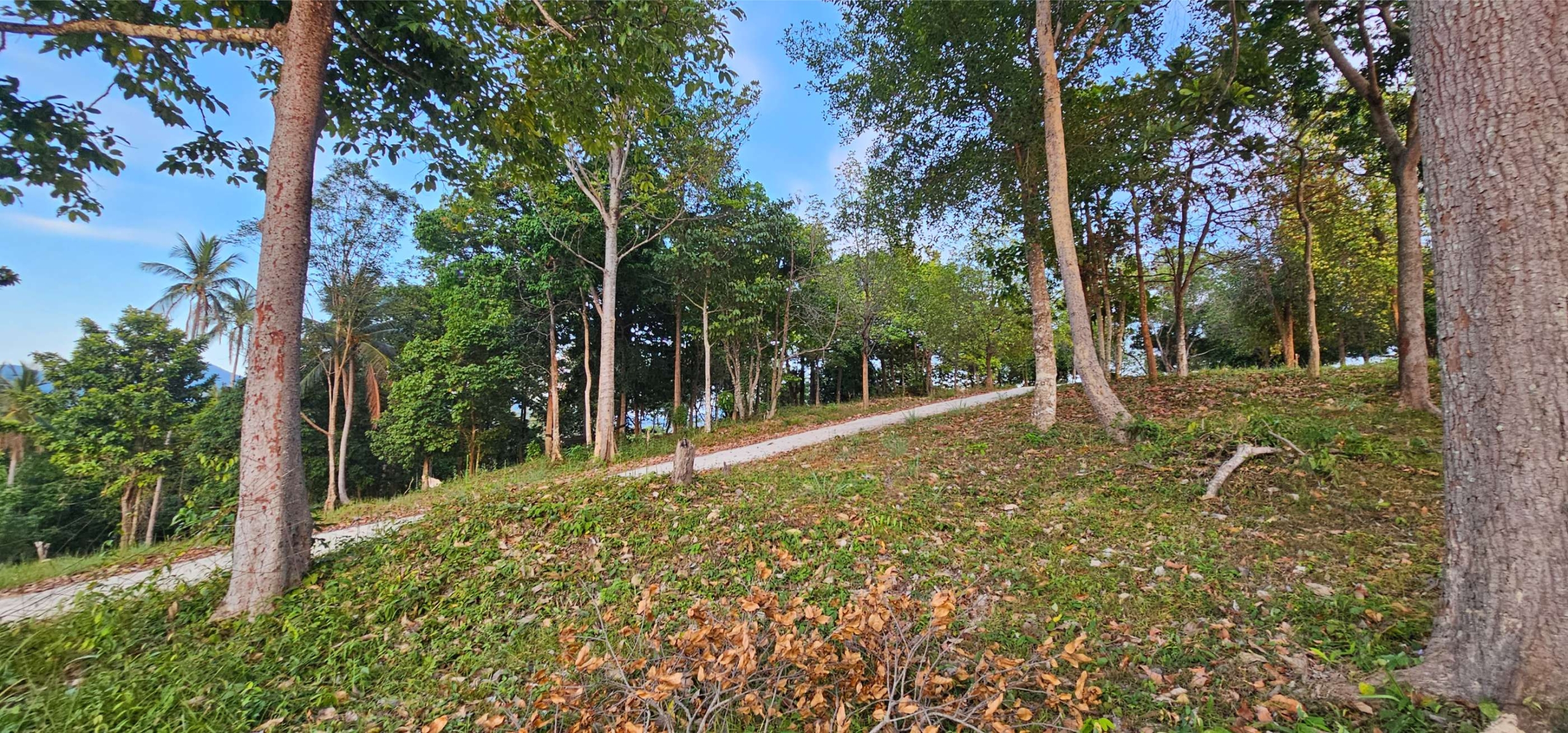 1600 SQM LAND HING KONG TOP HILL IS FOR SALE 6.5MB