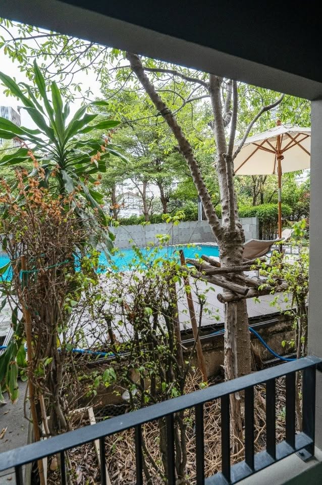 Modern 2-bedroom condo at The Seed Muse 26 with private garden, stylish interiors, and direct pool access in Sukhumvit 26, Bangkok.