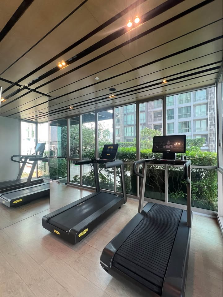 Elegant 3-bedroom condo in Quattro By Sansiri, Bangkok, featuring modern interiors and panoramic city views.