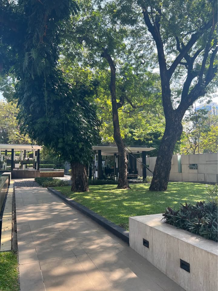 Elegant 3-bedroom condo in Quattro By Sansiri, Bangkok, featuring modern interiors and panoramic city views.