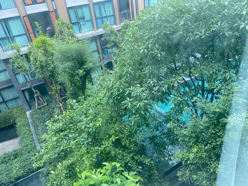 2-Bed, 2-Bath, 63 sqm Condo for Rent at Vtara Sukhumvit 36, ฿33,000/month, Near BTS Thong Lo – Fully Furnished, Luxurious Urban Living in Prime Location