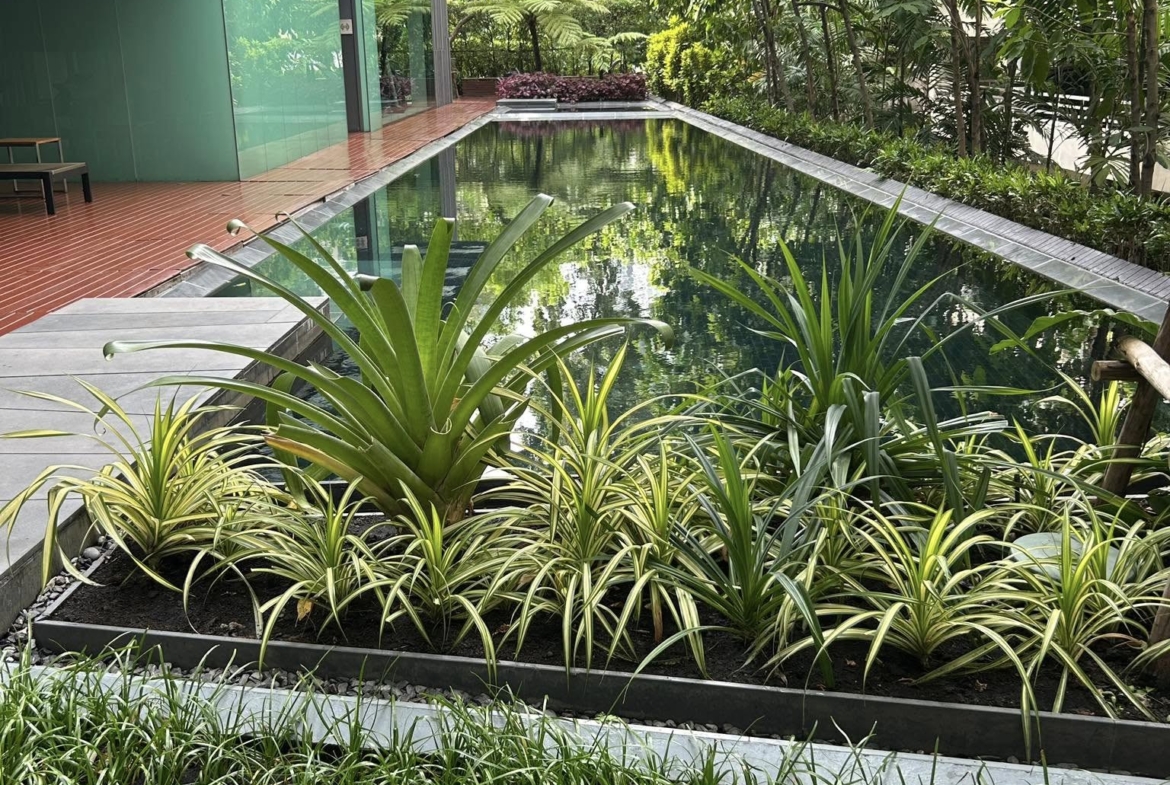 1-Bedroom, 1-Bath, 46 sqm Condo for Rent at Via 49, Sukhumvit – ฿35,000/month, Near Thonglor BTS