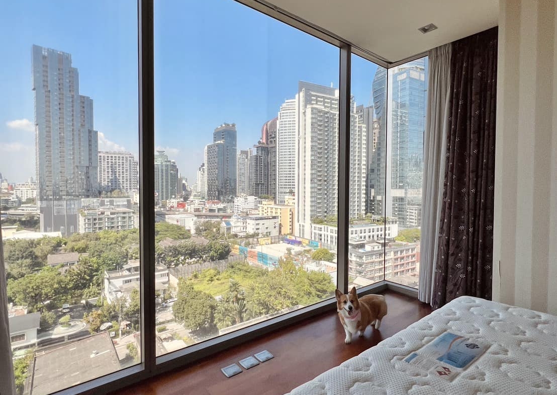 Spacious 2-bed 74.25 SQM condo at Ashton Morph 38. Pet-friendly, luxury high-rise near BTS Thong Lo. Sale 13M THB. Contact now for a private viewing!