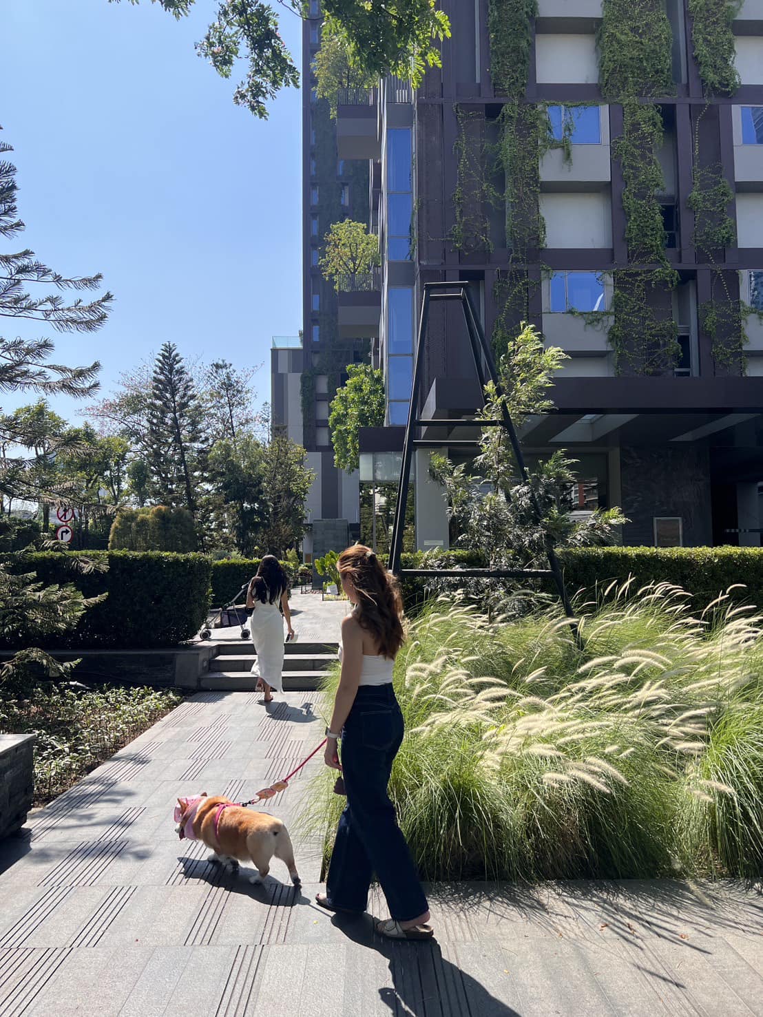 Spacious 2-bed 74.25 SQM condo at Ashton Morph 38. Pet-friendly, luxury high-rise near BTS Thong Lo. Sale 13M THB. Contact now for a private viewing!