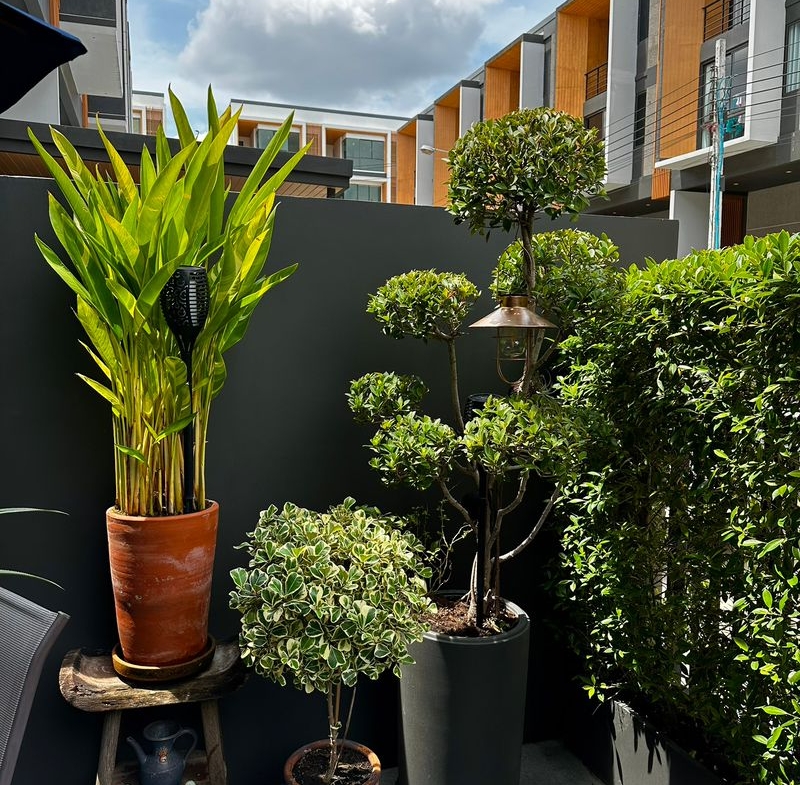 3-Bed 4-Bath 220 sqm Townhome for Rent at Moo Baan Shizen, Near BTS On Nut – 100,000 THB/Month