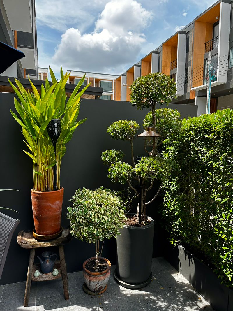 3-Bed 4-Bath 220 sqm Townhome for Rent at Moo Baan Shizen, Near BTS On Nut – 100,000 THB/Month
